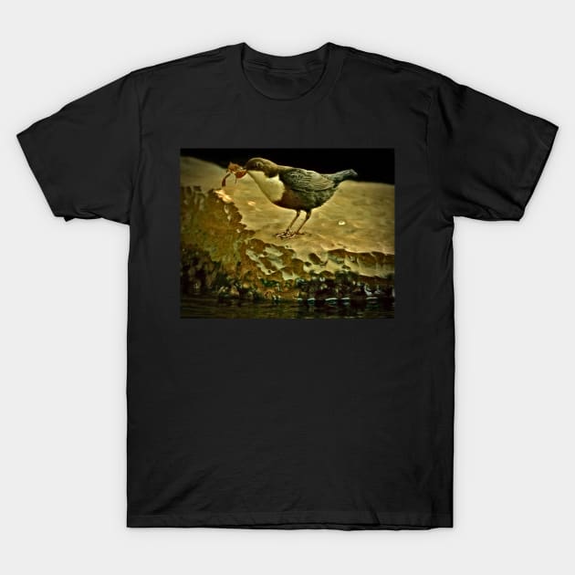 THE NEST BUILDER T-Shirt by dumbodancer